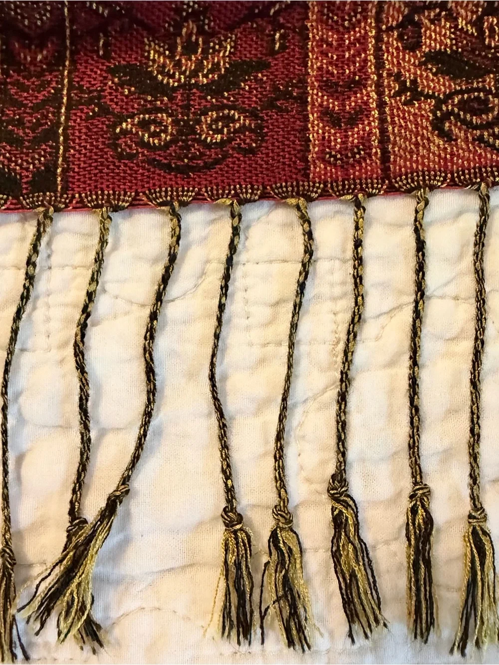 Pashmina Scarf Shawl 27 x 77 with Fringe Tassels Fall Colors Paisley Boho